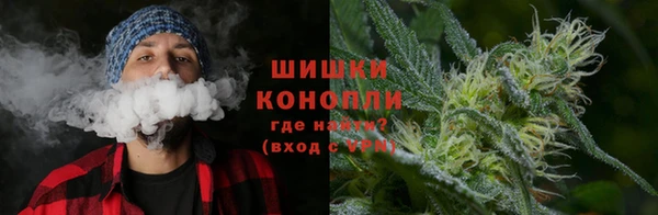 PSILOCYBIN Богородицк